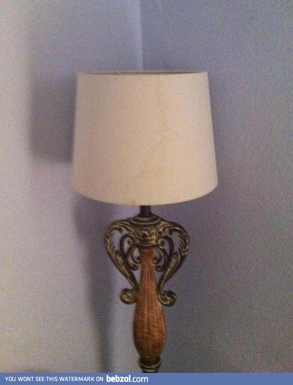 Don't judge me, lamp!