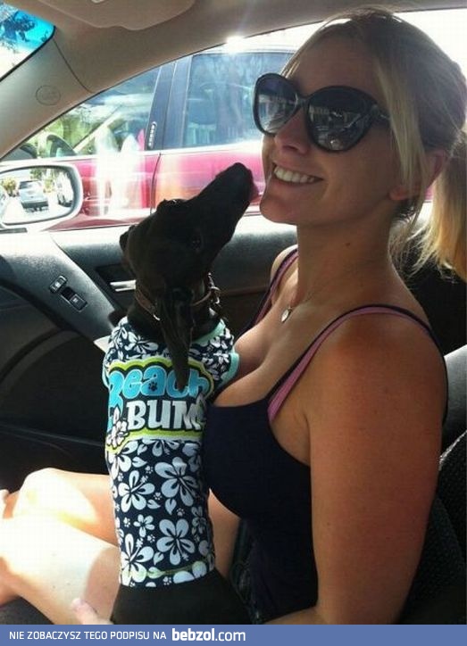 Chcę być tym pieskiem!