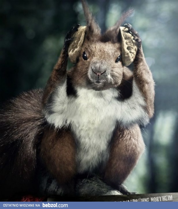 Nie mogę już tego słuchać!