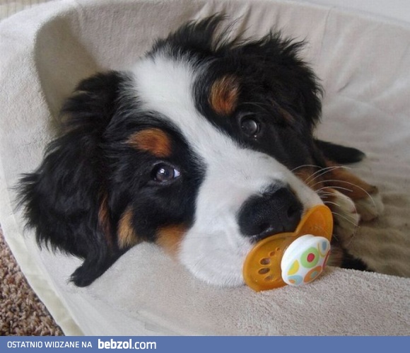 Też chciałbym być znów dzieckiem...