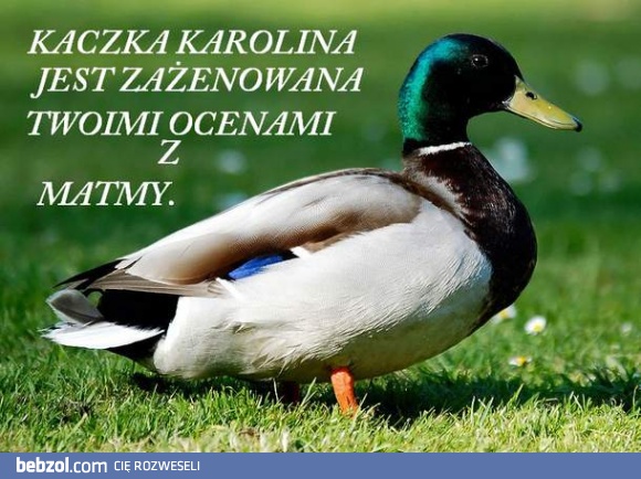 Twoje oceny z matmy są kiepskie...