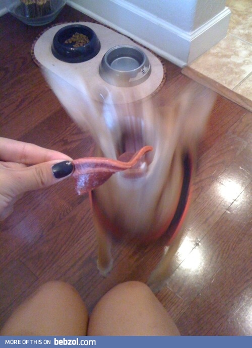 Hey, buddy...want some baco--WHOA!!  