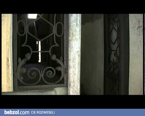 Wywiad z Peją - lato 2011