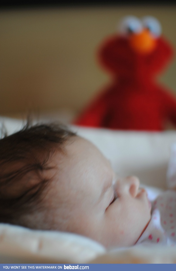 Wife sent me this pic. When I get home, Elmo is headed for the basement.