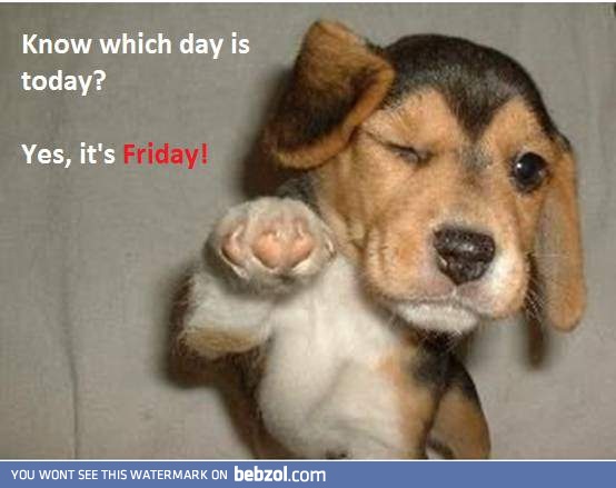 It's a Friday today!
