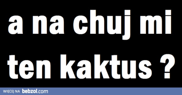 A na chuj mnie ten kaktus?