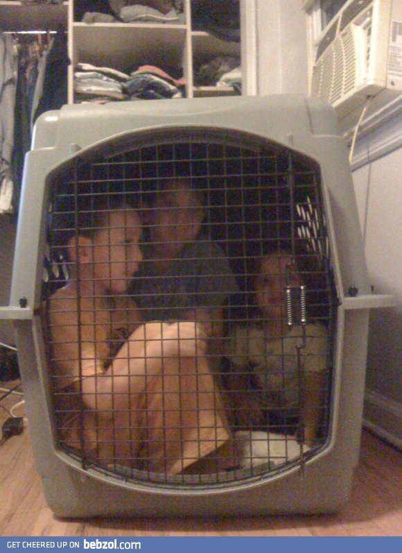 So, my sister asked me to babysit. I think I'm doing a good job