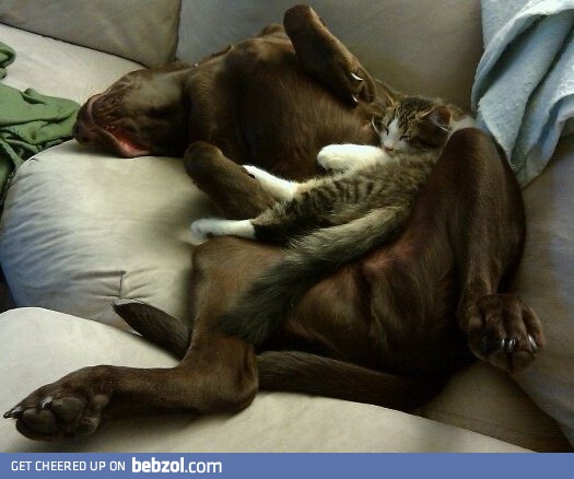 Sooo tired chasing around