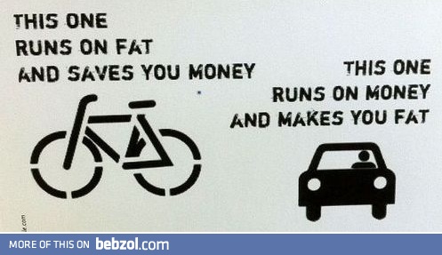 Which one do you choose?