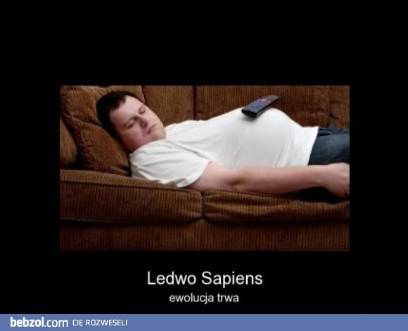 Ledwo sapiens - kolejne ogniwo ewolucji