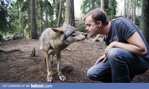 This is me and a wolf. It was bloody awesome.