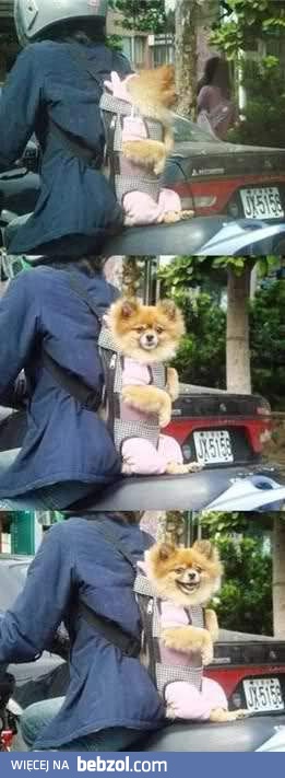 Bezpieczny transport