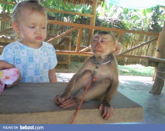 My niece and a monkey. They do NOT trust each other.  