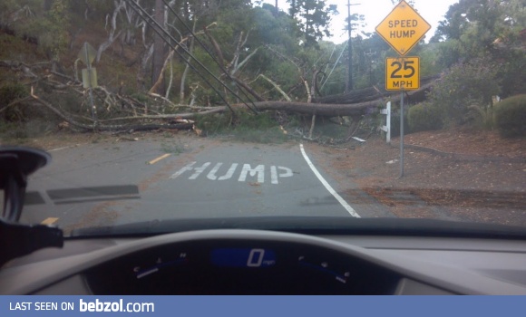 Fine, I'll slow down.