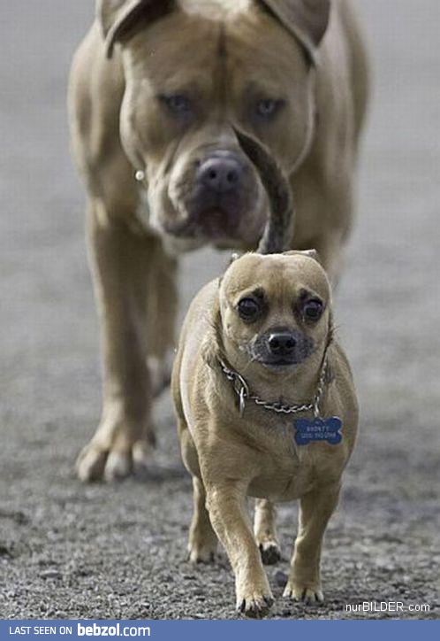 Act natural..... act natural....  