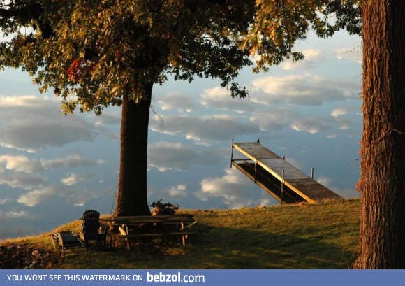 view of my parents' backyard this morning  
