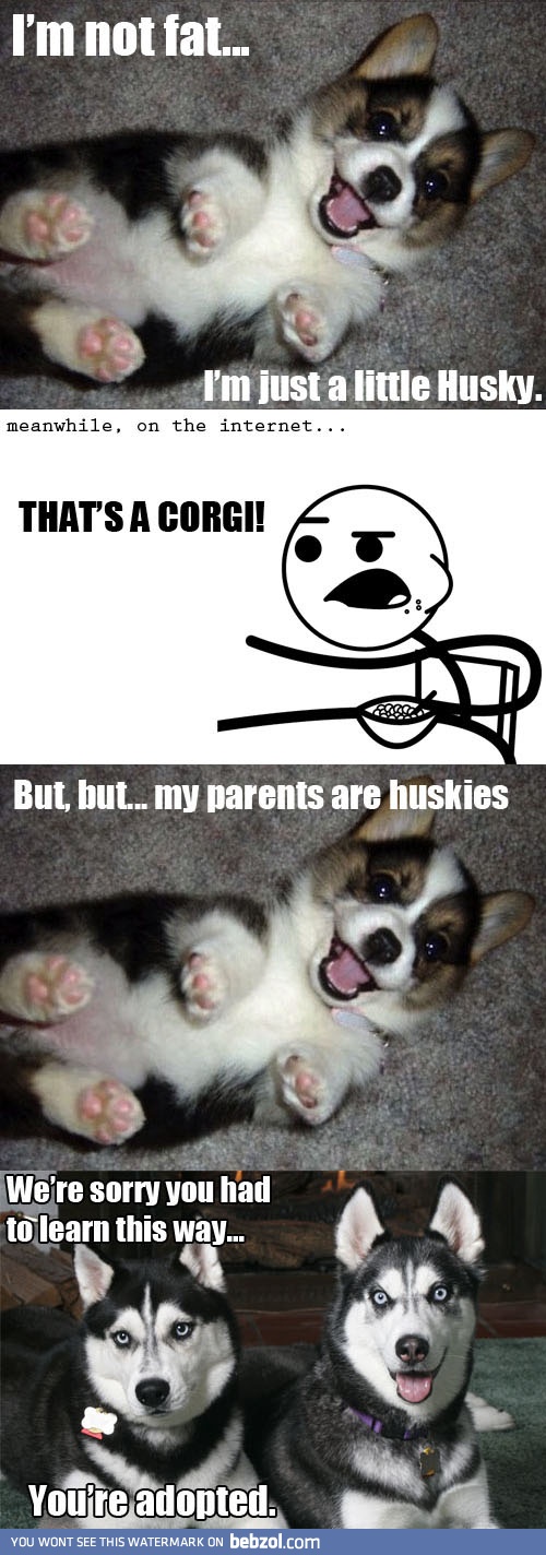 Meanwhile on the internet...  