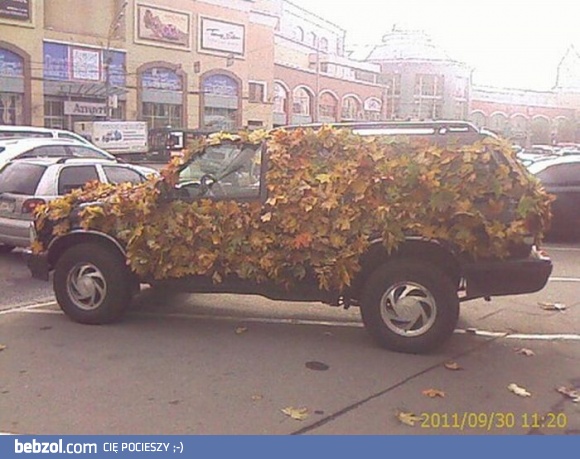 Kamuflaż to postawa