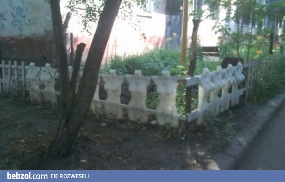 Płot wielbiciela sztuki