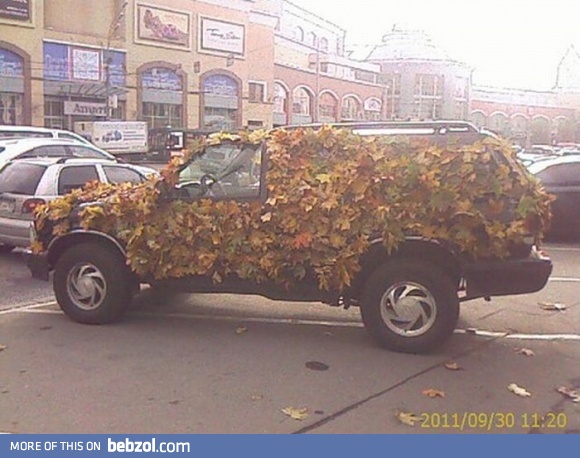 They would not find me in the urban jungle ;-)