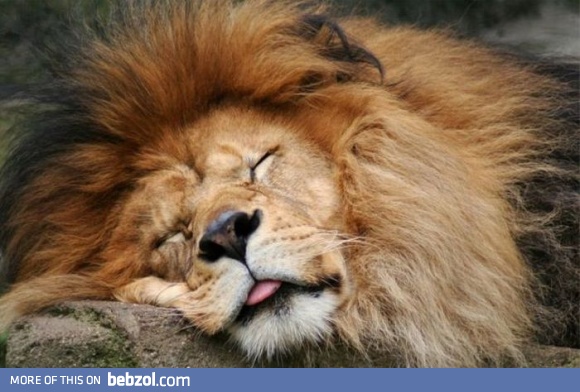 So calm while asleep