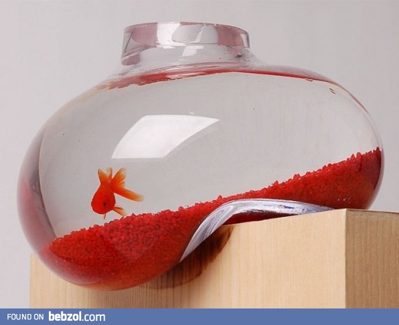 Awkward fishtank