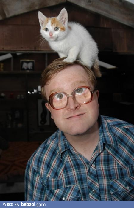 Siedział za długo przy książkach i dostał kota...