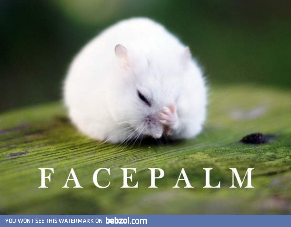 Hamster's facepalm