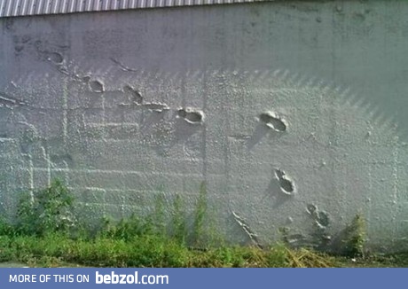 Damn ninja was here!