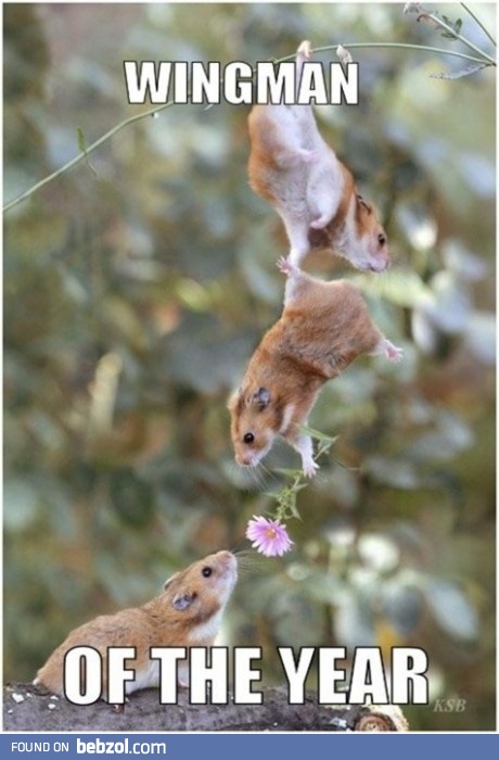 Wingman of the year!