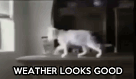 Pogoda bywa złośliwa 