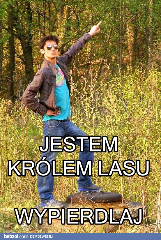 Jestem królem lasu