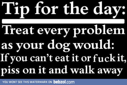 Tip for the day