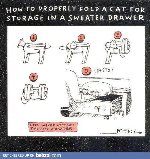 How to fold a cat?