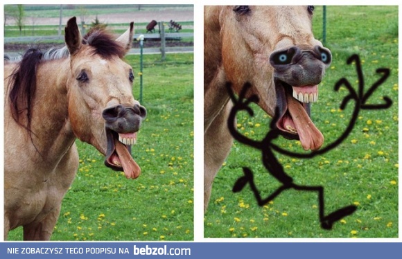 Koń by się uśmiał ;)