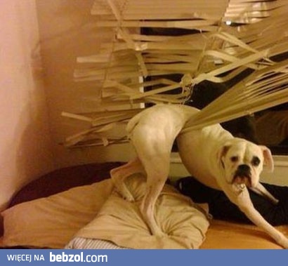 Oh... wcześnie wróciłaś!