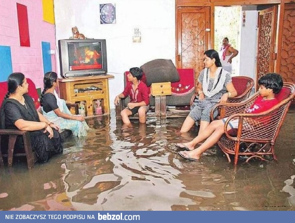 To się nazywa mieć basen w chacie