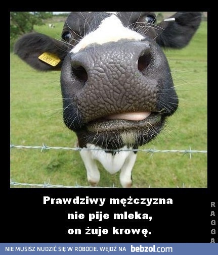 Prawdziwy mężczyzna nie pije mleka