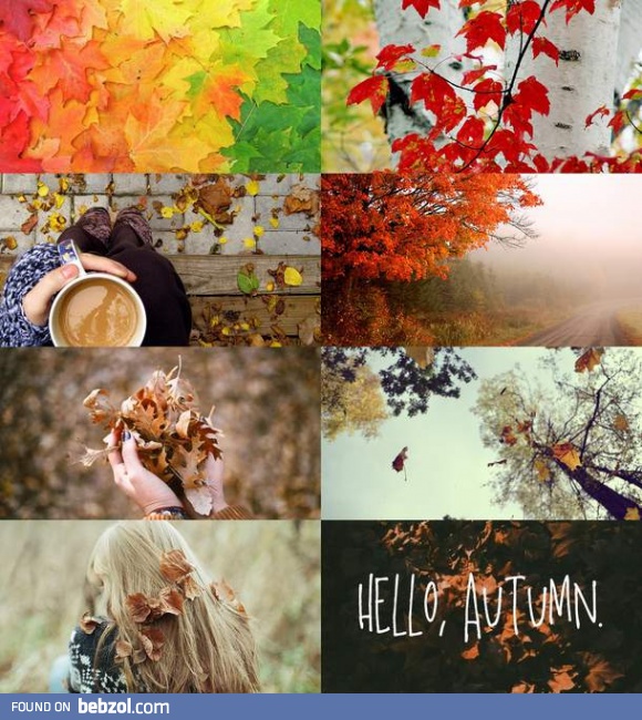 Hello autumn!