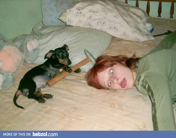 Playing with the dog