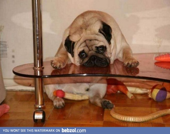 A moment of laziness...