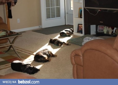 To chyba jakiś promień śmierci :/