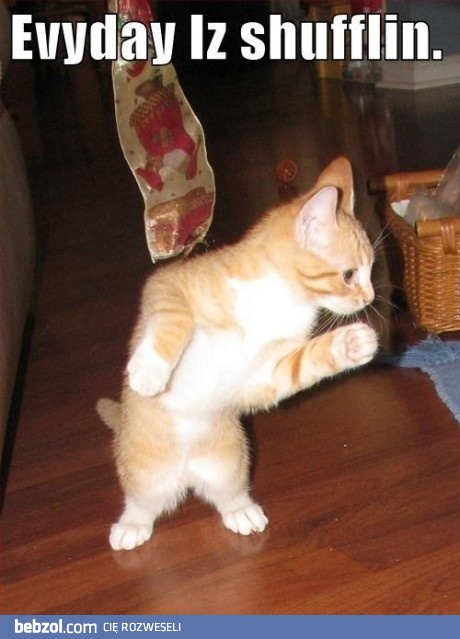 ewrydej ajm szafylyn