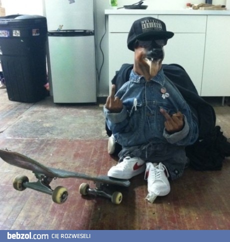 To jest  prawdziwy Snoop Dogg