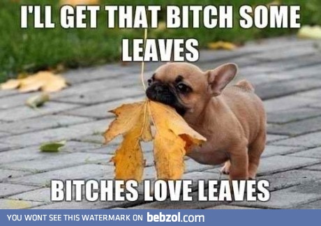 Bit**es loves leaves!
