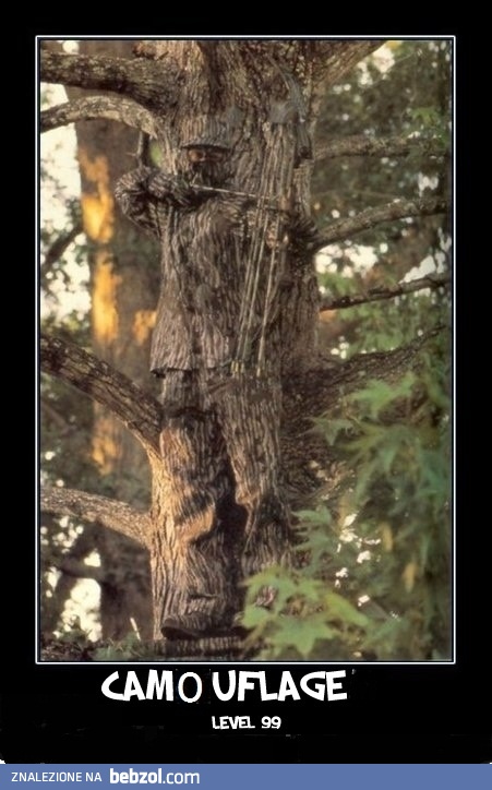 Sztuka kamuflażu - poziom 99