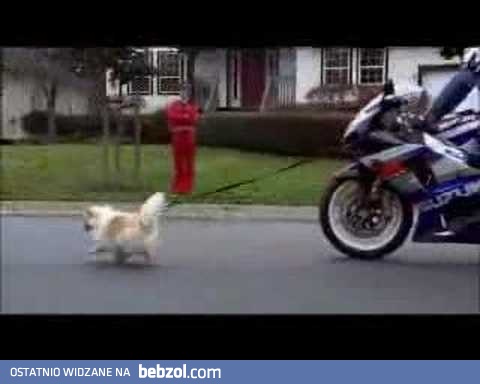 Reklama Suzuki GSR 1000