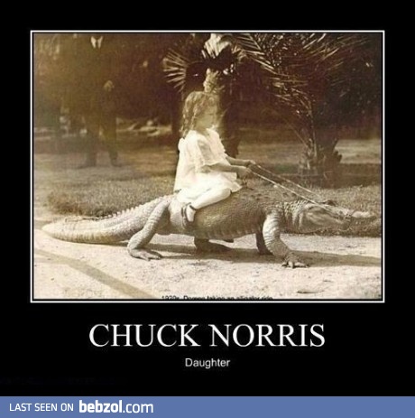 Chuck Norris daughter