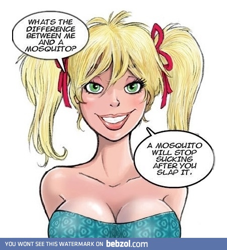 What's the difference between mosquito and her?