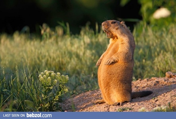 What a beautiful day today!